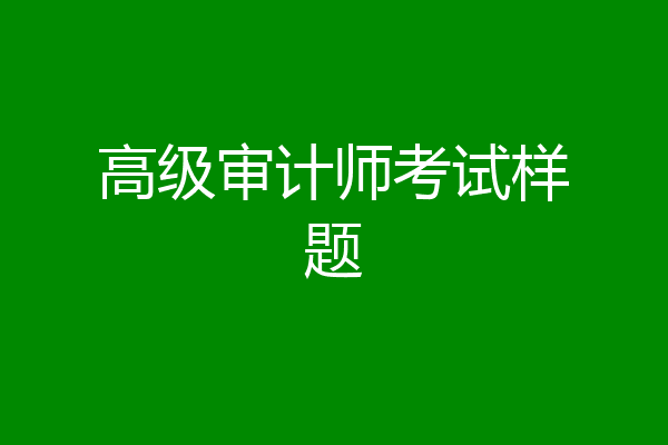 高级审计师考试样题