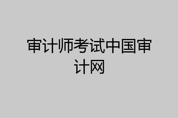 审计师考试中国审计网