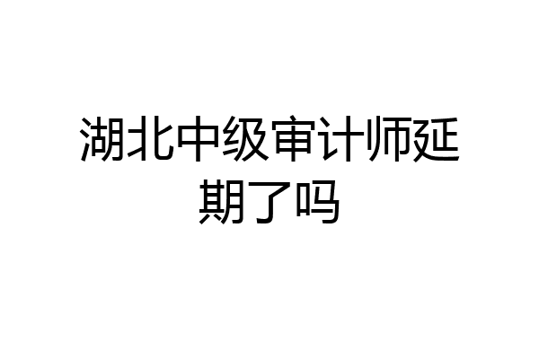 湖北中级审计师延期了吗