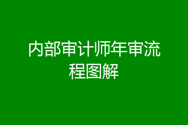 内部审计师年审流程图解