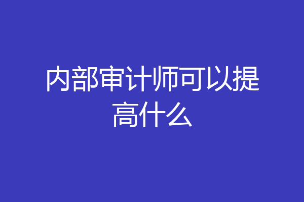 内部审计师可以提高什么