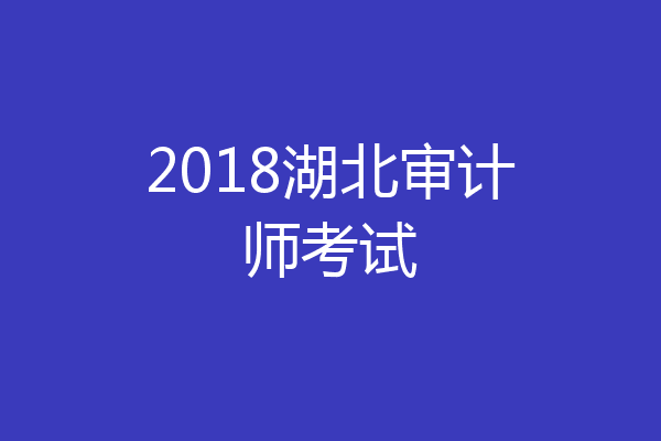 2018湖北审计师考试