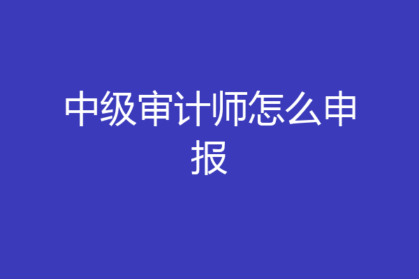 中级审计师怎么申报