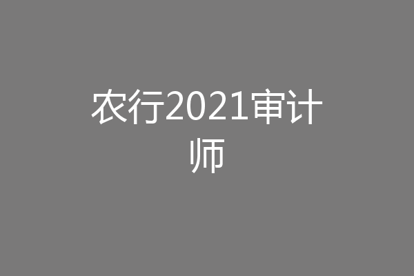 农行2021审计师