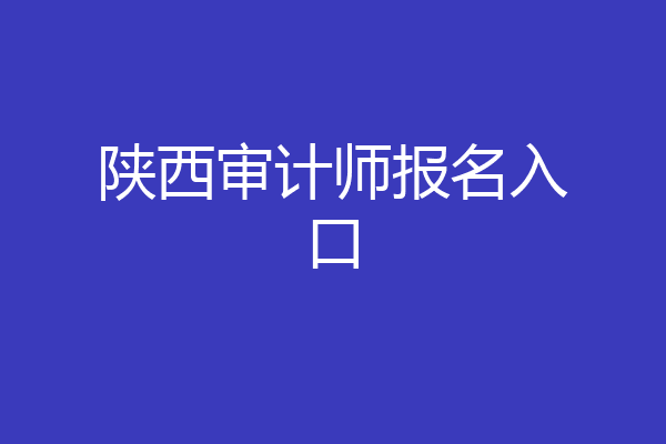 陕西审计师报名入口