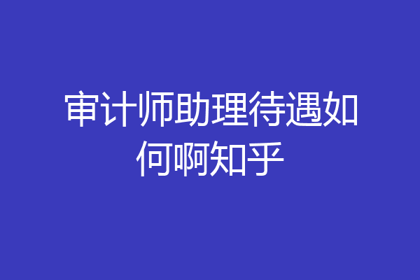 审计师助理待遇如何啊知乎