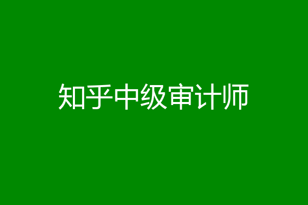 知乎中级审计师