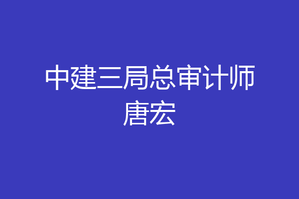 中建三局总审计师唐宏