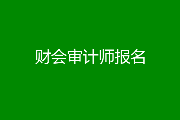 财会审计师报名