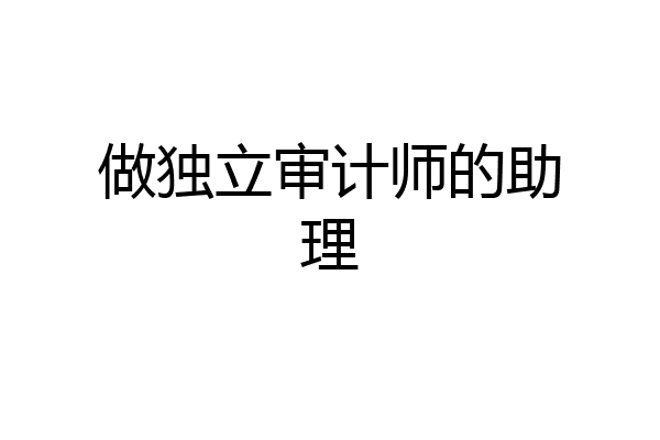 做独立审计师的助理