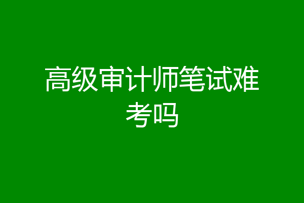 高级审计师笔试难考吗