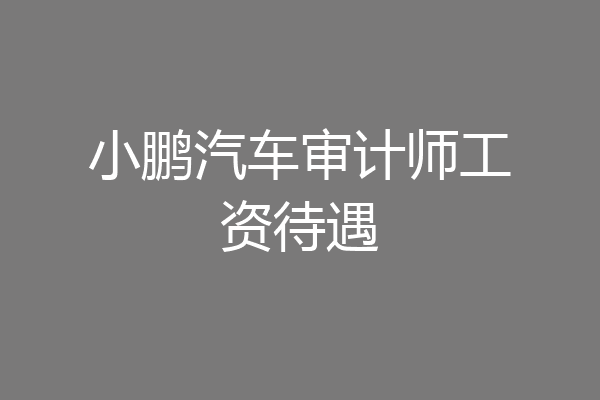 小鹏汽车审计师工资待遇