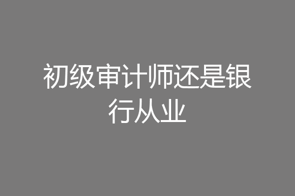 初级审计师还是银行从业