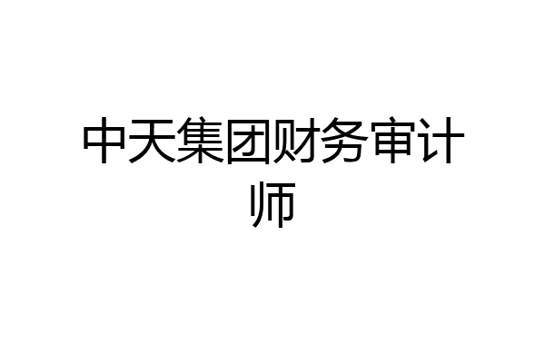 中天集团财务审计师
