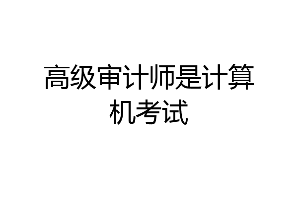 高级审计师是计算机考试
