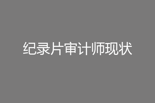 纪录片审计师现状