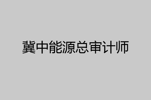冀中能源总审计师