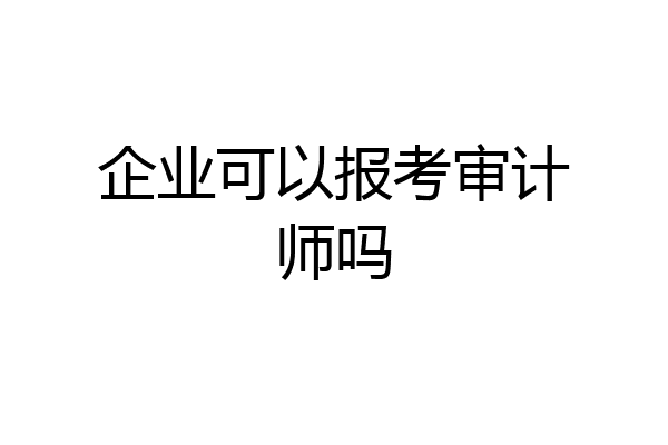 企业可以报考审计师吗