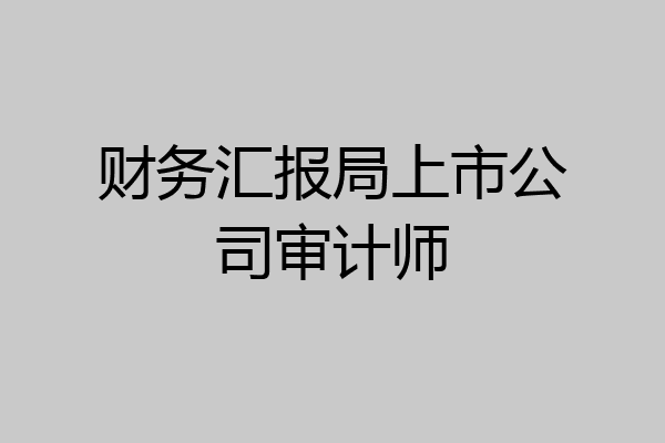 财务汇报局上市公司审计师