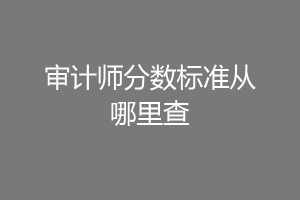 审计师分数标准从哪里查