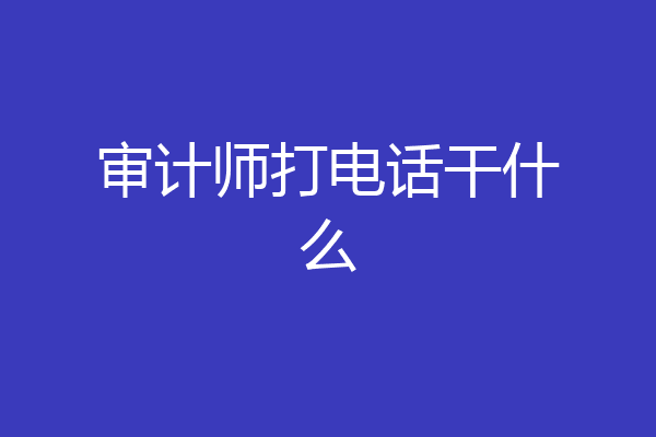 审计师打电话干什么