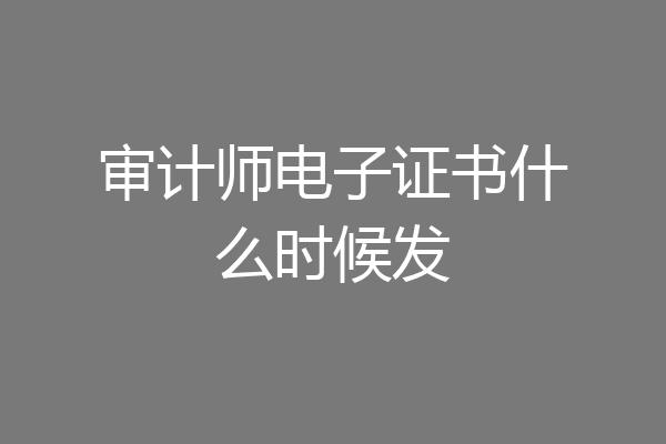 审计师电子证书什么时候发