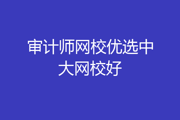 审计师网校优选中大网校好