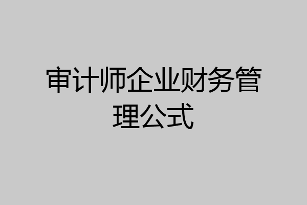 审计师企业财务管理公式