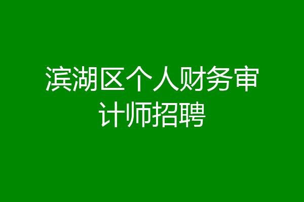 滨湖区个人财务审计师招聘