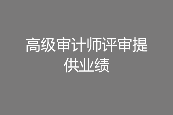 高级审计师评审提供业绩