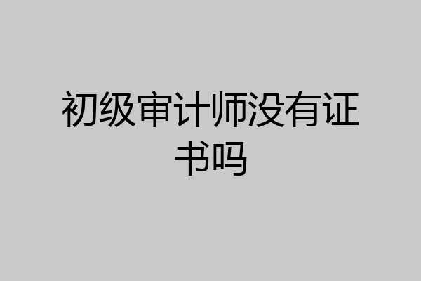 初级审计师没有证书吗
