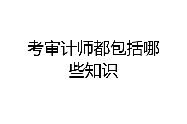 考审计师都包括哪些知识