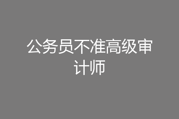公务员不准高级审计师