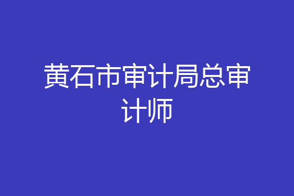 黄石市审计局总审计师