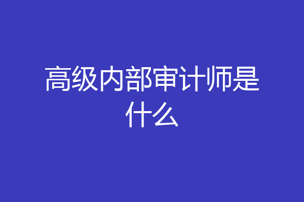 高级内部审计师是什么