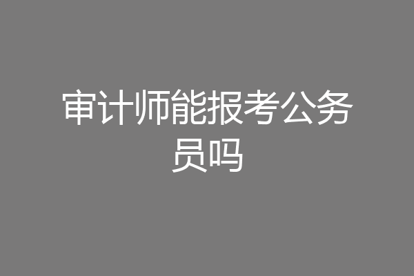 审计师能报考公务员吗