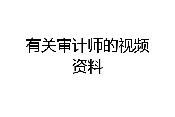 有关审计师的视频资料