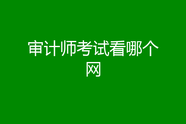 审计师考试看哪个网