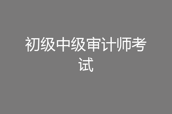 初级中级审计师考试