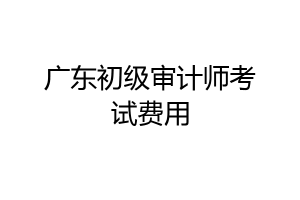 广东初级审计师考试费用