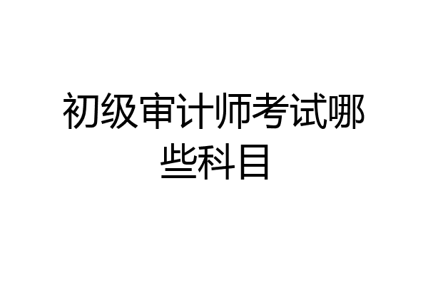 初级审计师考试哪些科目