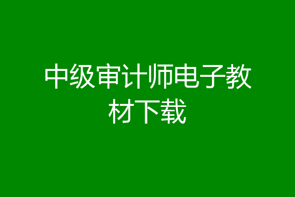 中级审计师电子教材下载
