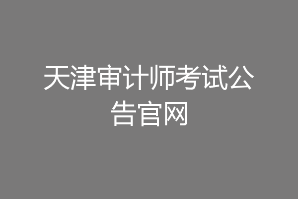 天津审计师考试公告官网