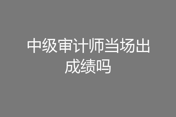 中级审计师当场出成绩吗