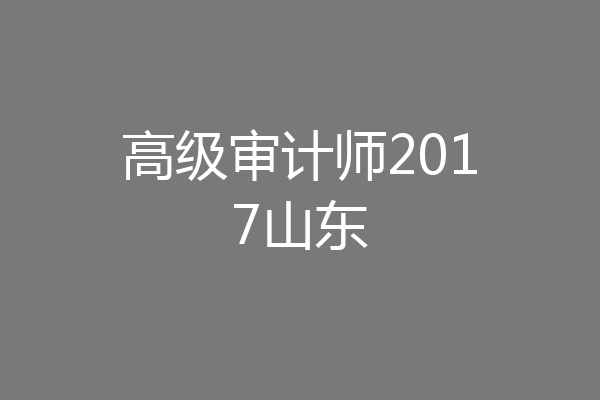 高级审计师2017山东