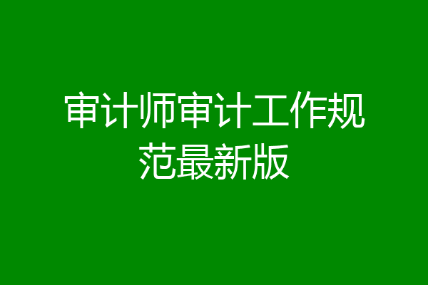 审计师审计工作规范最新版
