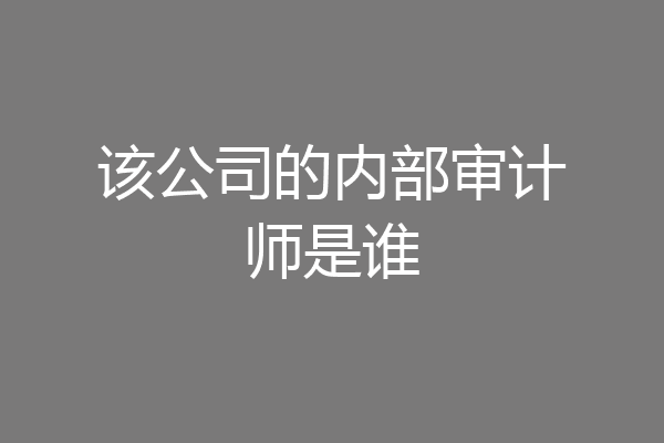 该公司的内部审计师是谁