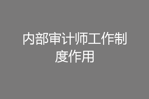 内部审计师工作制度作用