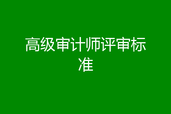 高级审计师评审标准