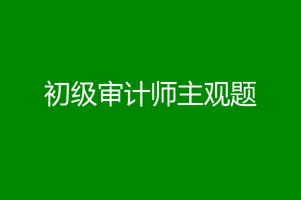 初级审计师主观题